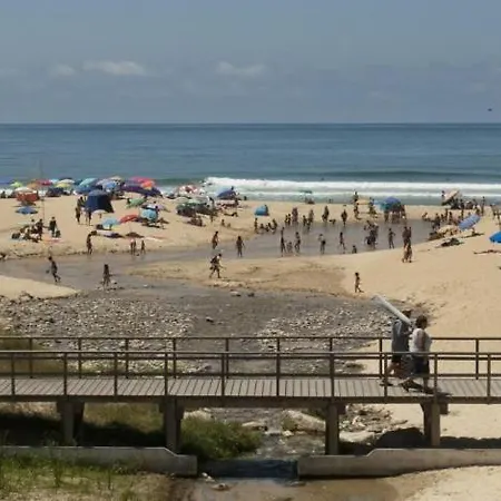 Hébergement de vacances Paredes Da Vitoria *